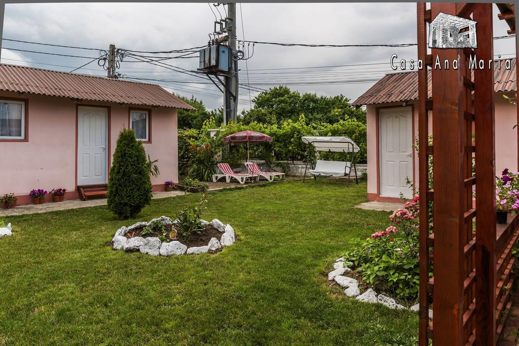 Casa Ana Maria Villa Vama Veche Luaran gambar