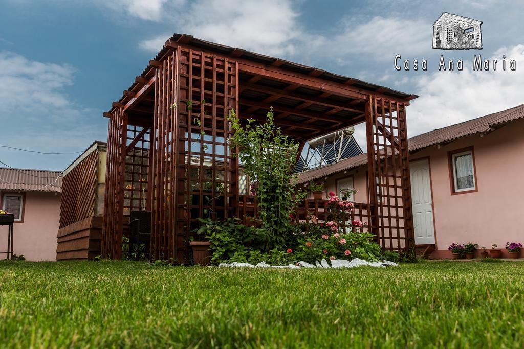 Casa Ana Maria Villa Vama Veche Luaran gambar