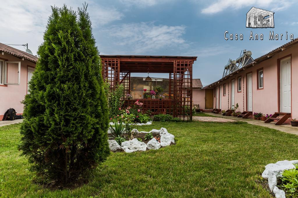 Casa Ana Maria Villa Vama Veche Luaran gambar