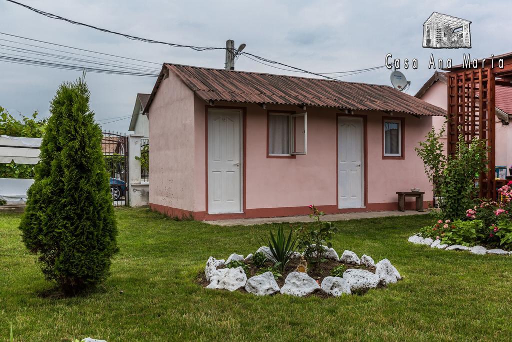 Casa Ana Maria Villa Vama Veche Luaran gambar