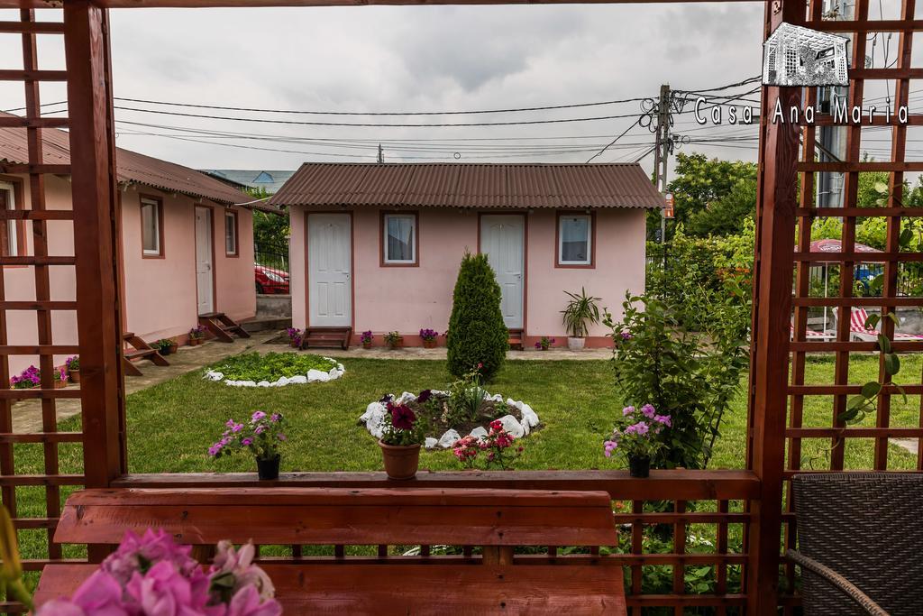 Casa Ana Maria Villa Vama Veche Luaran gambar