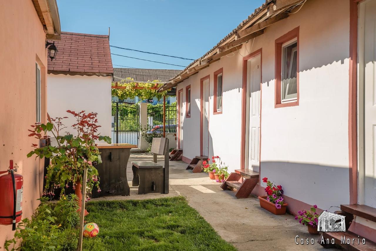 Casa Ana Maria Villa Vama Veche Luaran gambar