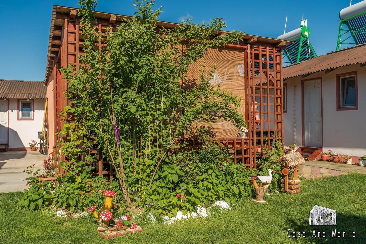 Casa Ana Maria Villa Vama Veche Luaran gambar