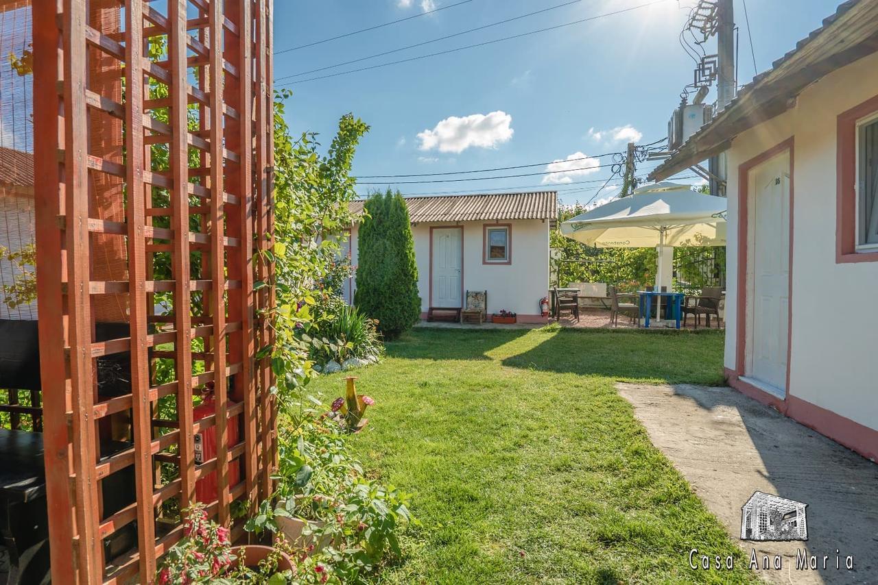 Casa Ana Maria Villa Vama Veche Luaran gambar