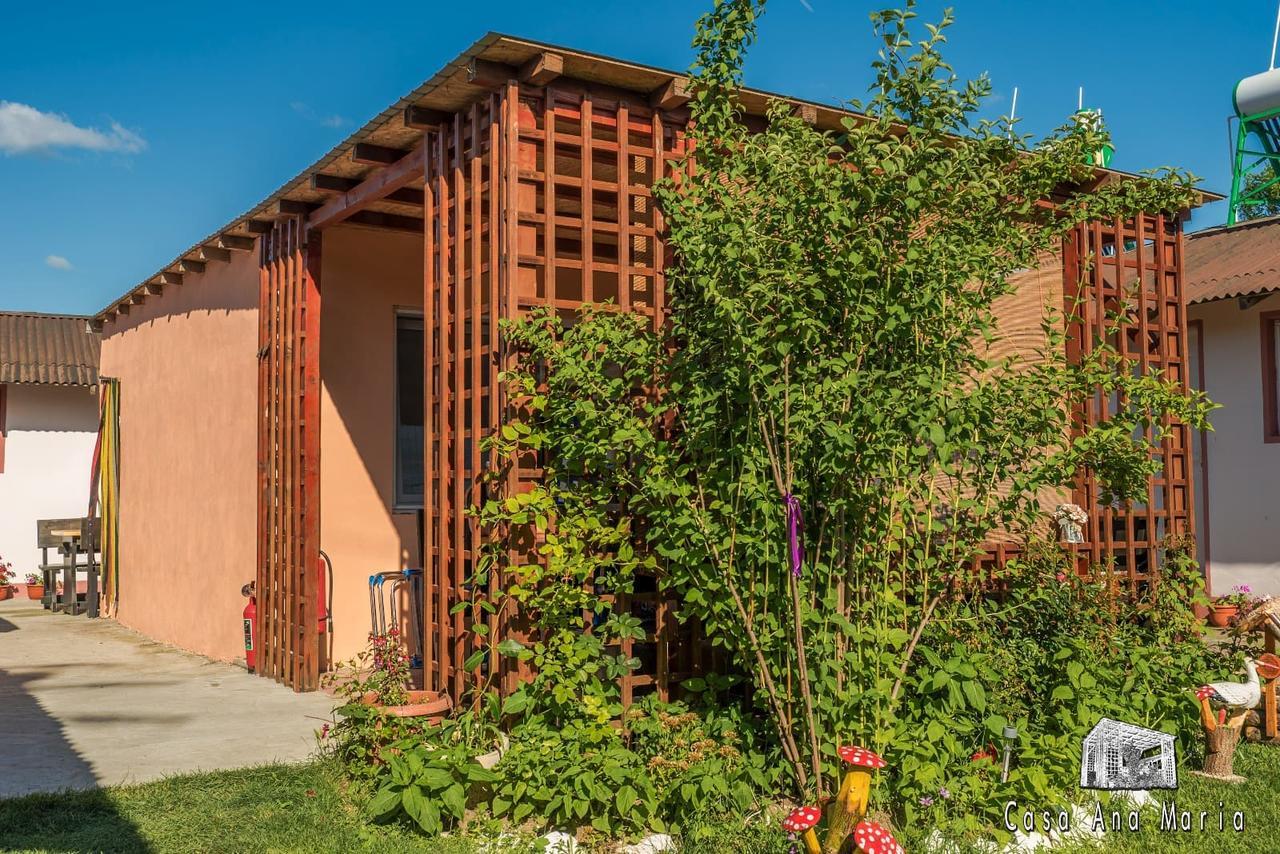 Casa Ana Maria Villa Vama Veche Luaran gambar